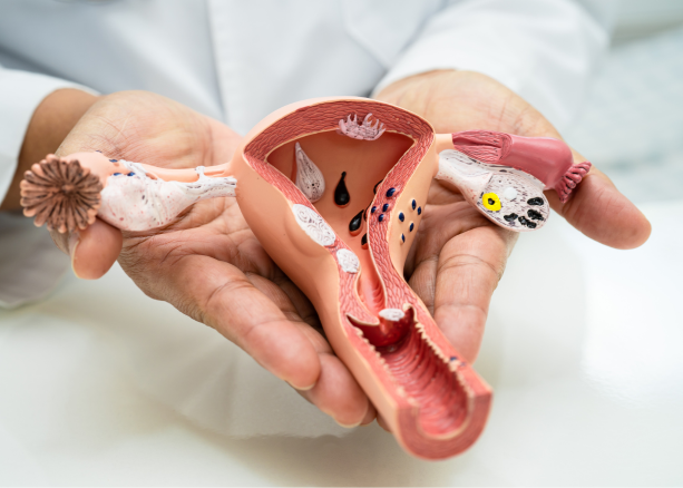 Gynecology - Women's Health