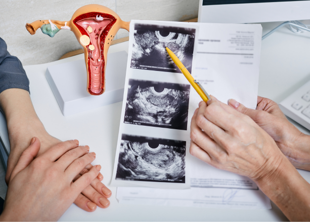 Medical Consultation