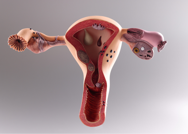 Clinic Reception Area